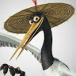 Meet your Posher, Jacob